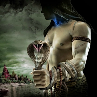 Lord Shiva's snake