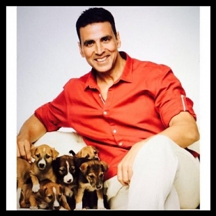 Jolly LLB sequel will have Akshay Kumar as the lead