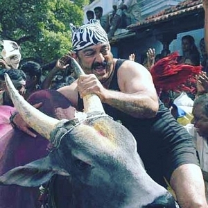 Kamal Haasan lashes out at PETA for trying to ban Jallikattu