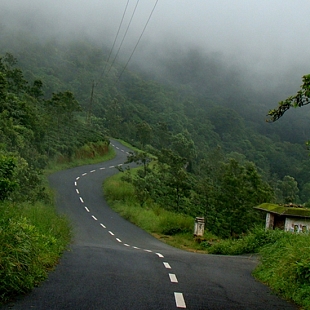 Western Ghats, Southern and Western India