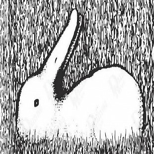 Rabbit or a duck?