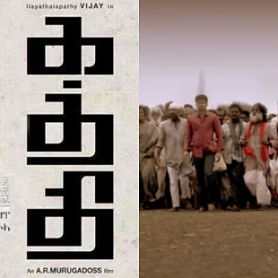 Kaththi - Department of Agriculture