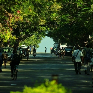 Blue Cross Road - Besant Nagar