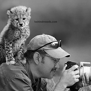 Wildlife Photographer